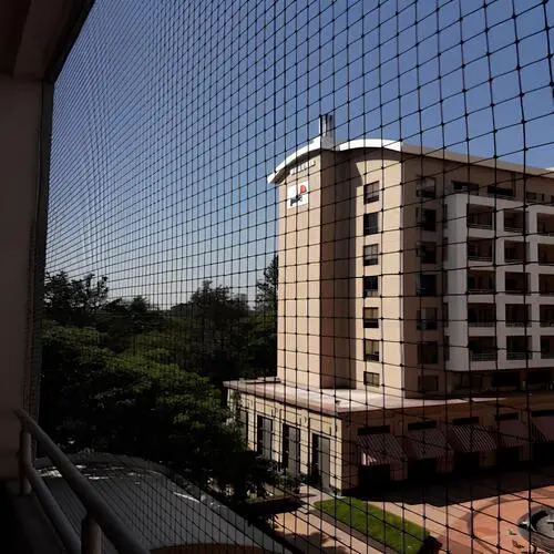 Anti Bird Nets in Bangalore and Whitefield by Sravani Home Safety