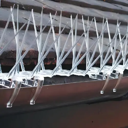 Bird Spikes for Pigeons in Bangalore and Whitefield by Sravani Home Safety (3)