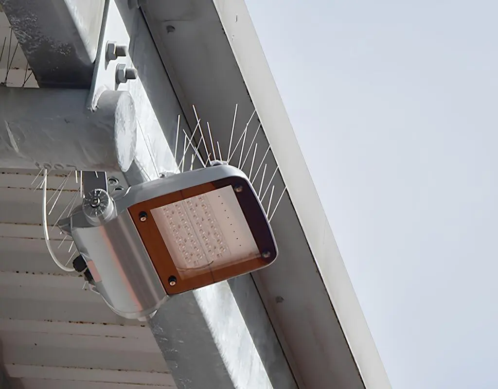 Bird Spikes for Pigeons in Bangalore and Whitefield by Sravani Home Safety (4)