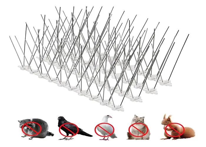 Bird Spikes for Pigeons in Bangalore and Whitefield by Sravani Home Safety (5)