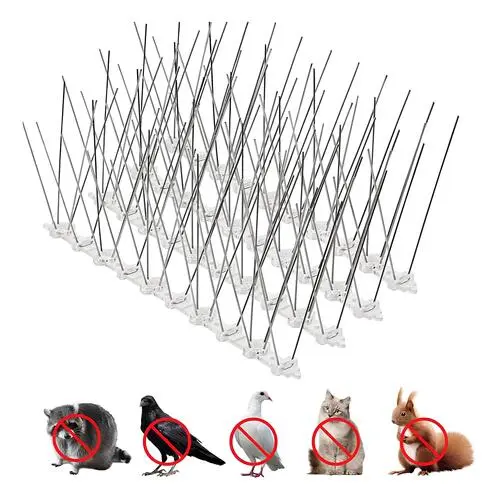 Bird Spikes for Pigeons in Bangalore and Whitefield by Sravani Home Safety