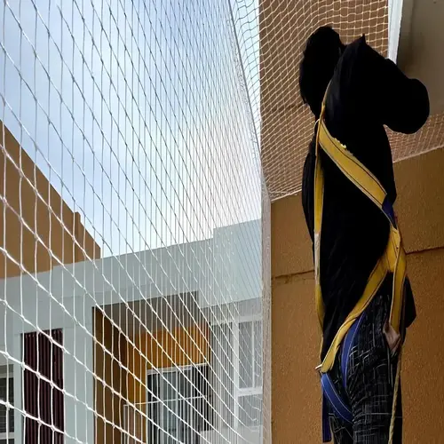 Pigeon Netting Services in Bangalore and Whitefield by Sravani Home Safety